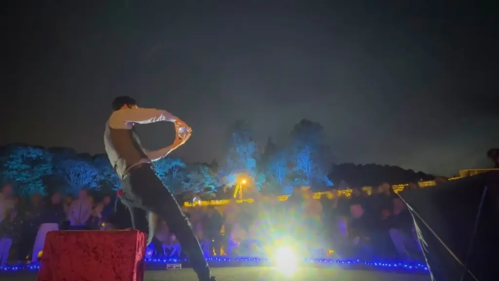 たっきん20251108フラワーパーク大道芸17時