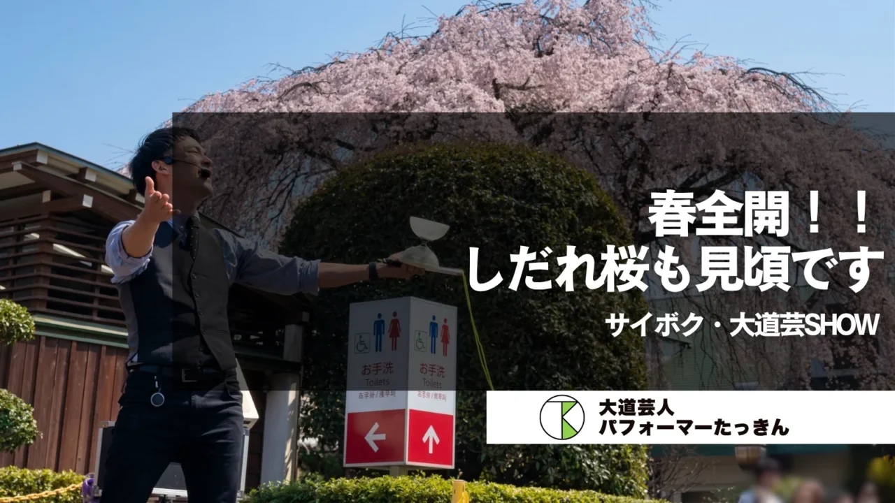 【埼玉県日高市】サイボク・大道芸SHOW | 春全開!しだれ桜も見頃です