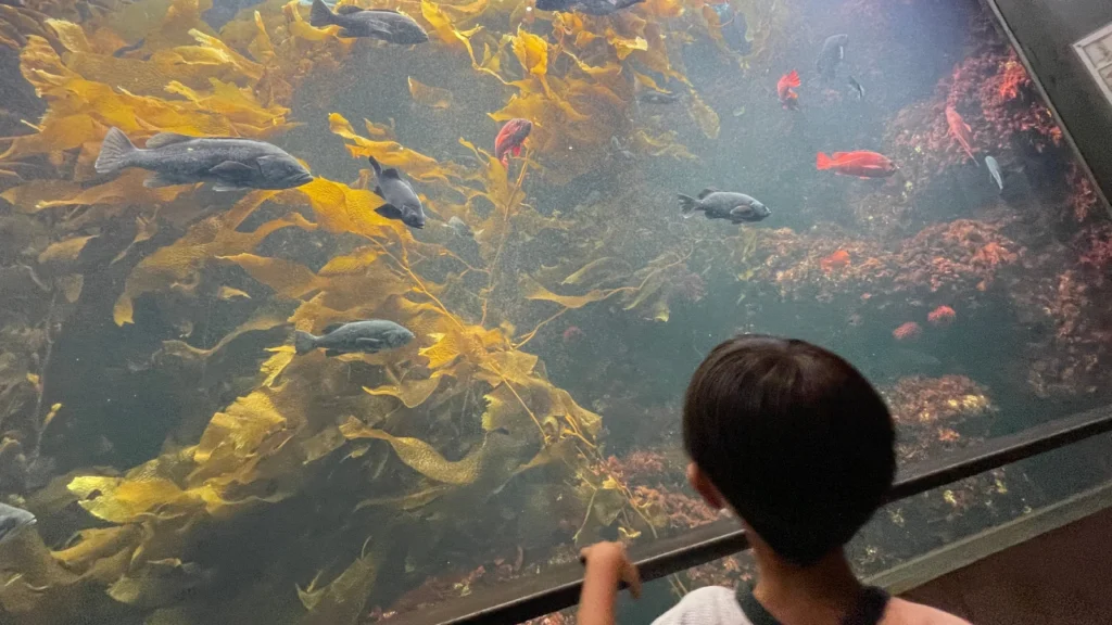 たっきん-葛西臨海水族館